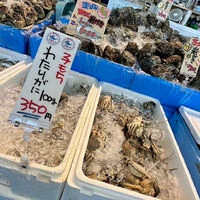 ブログ画像
